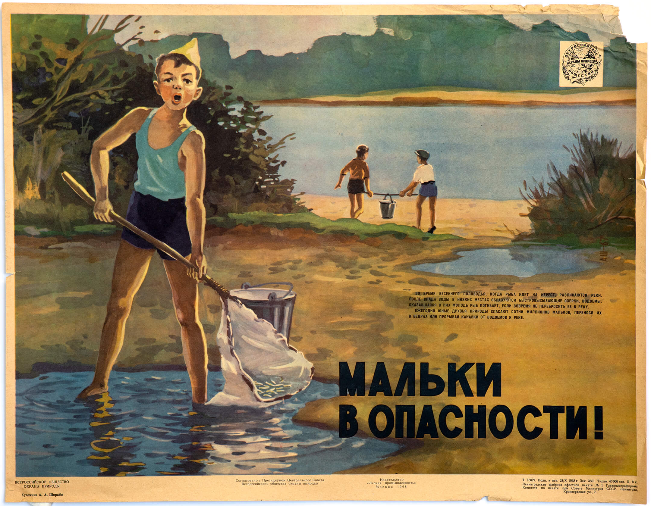 А. А. Шкрабо. Мальки в опасности