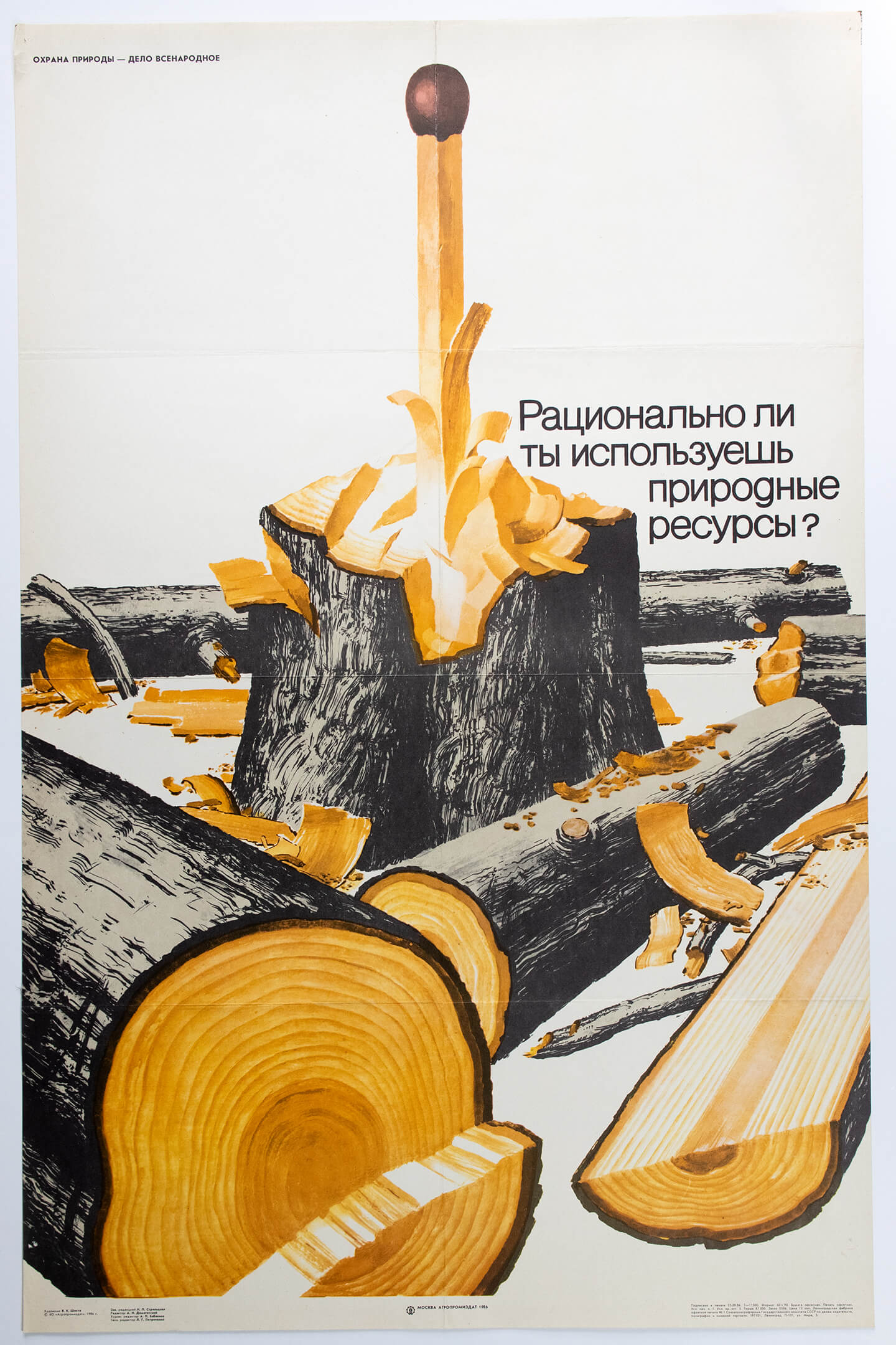 В. К. Шостя. Рационально ли ты используешь природные ресурсы?