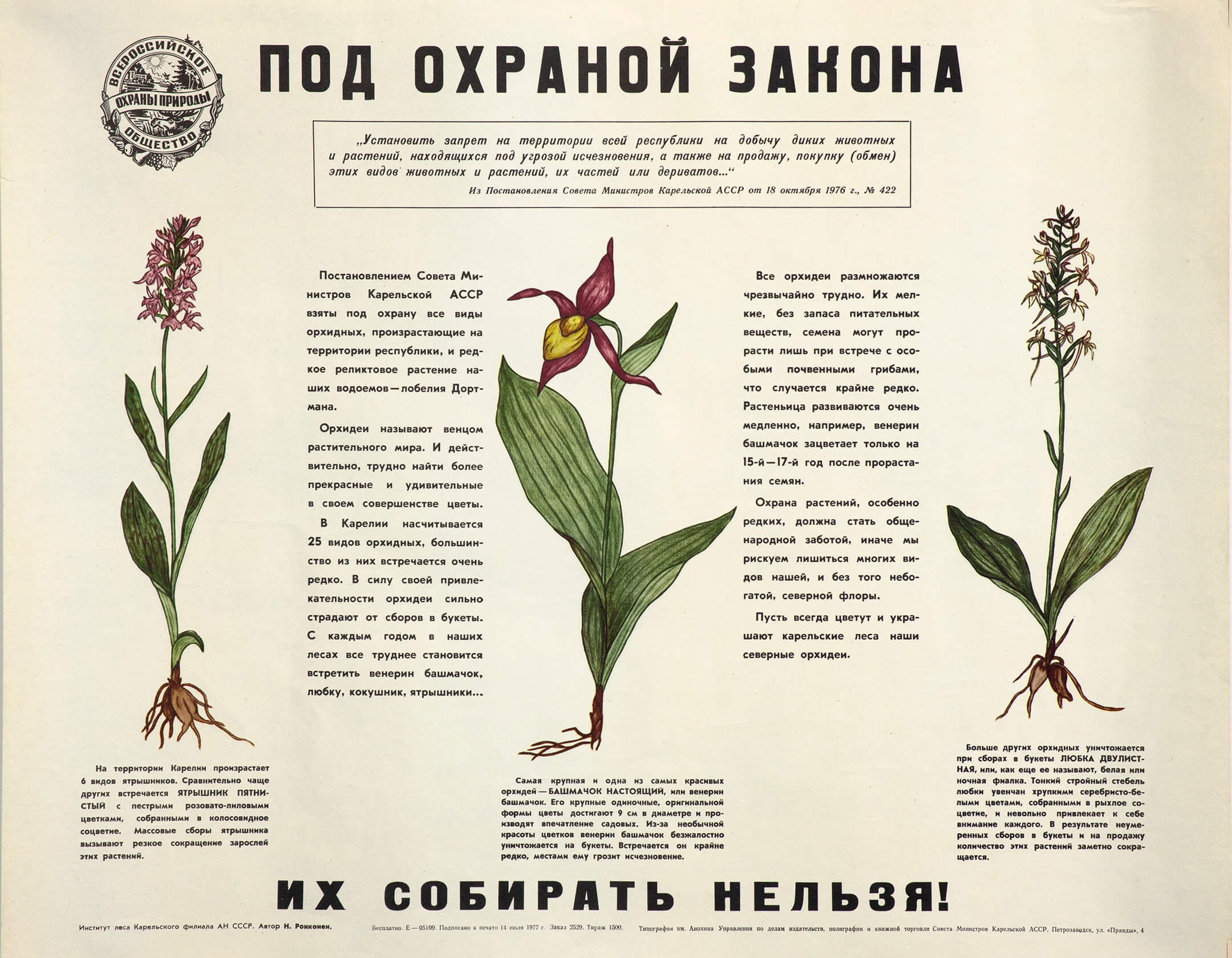 Н. И. Ронконен. Под охраной закона, их собирать нельзя!