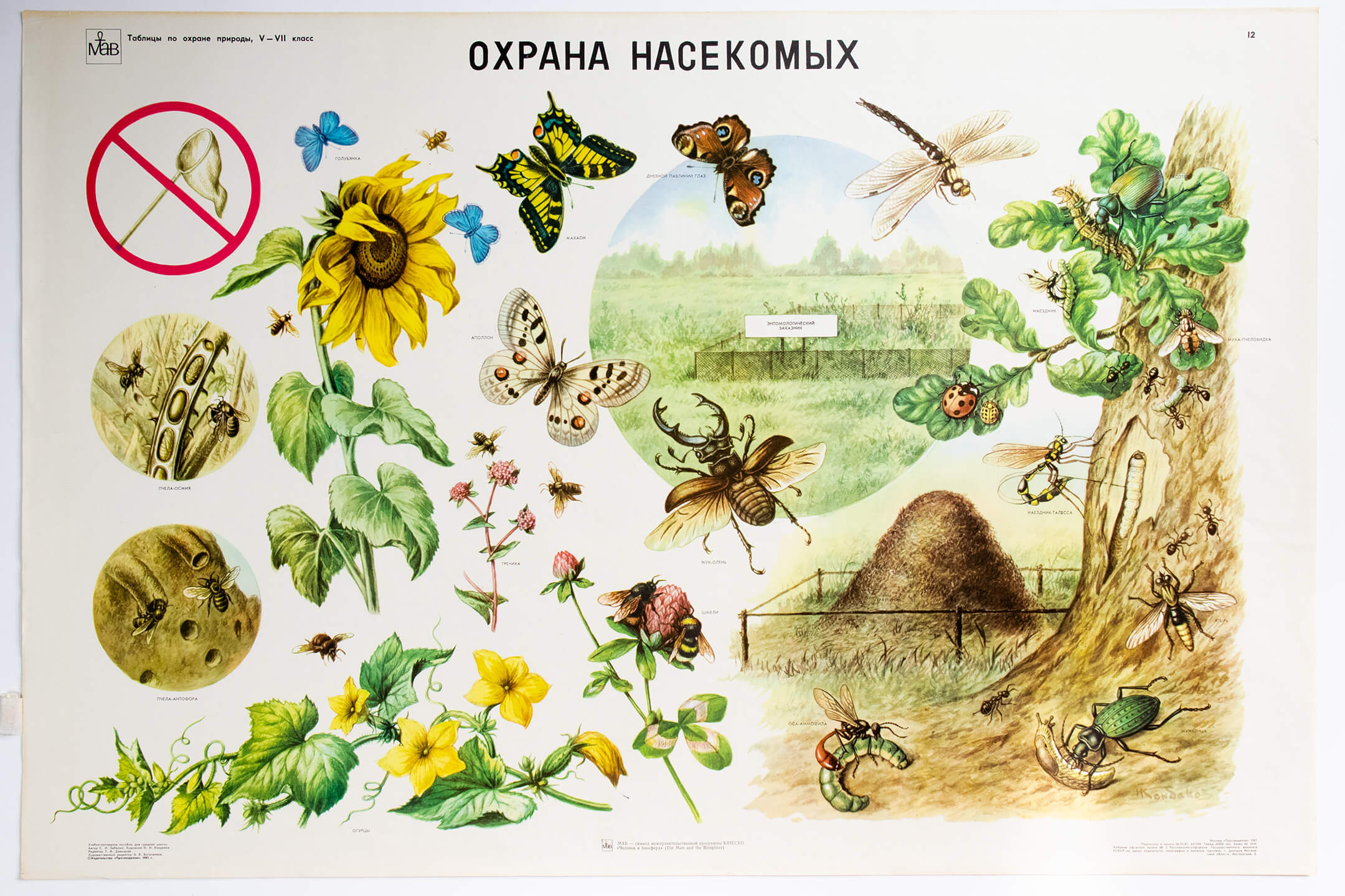 Н. Н. Кондаков. Охрана насекомых
