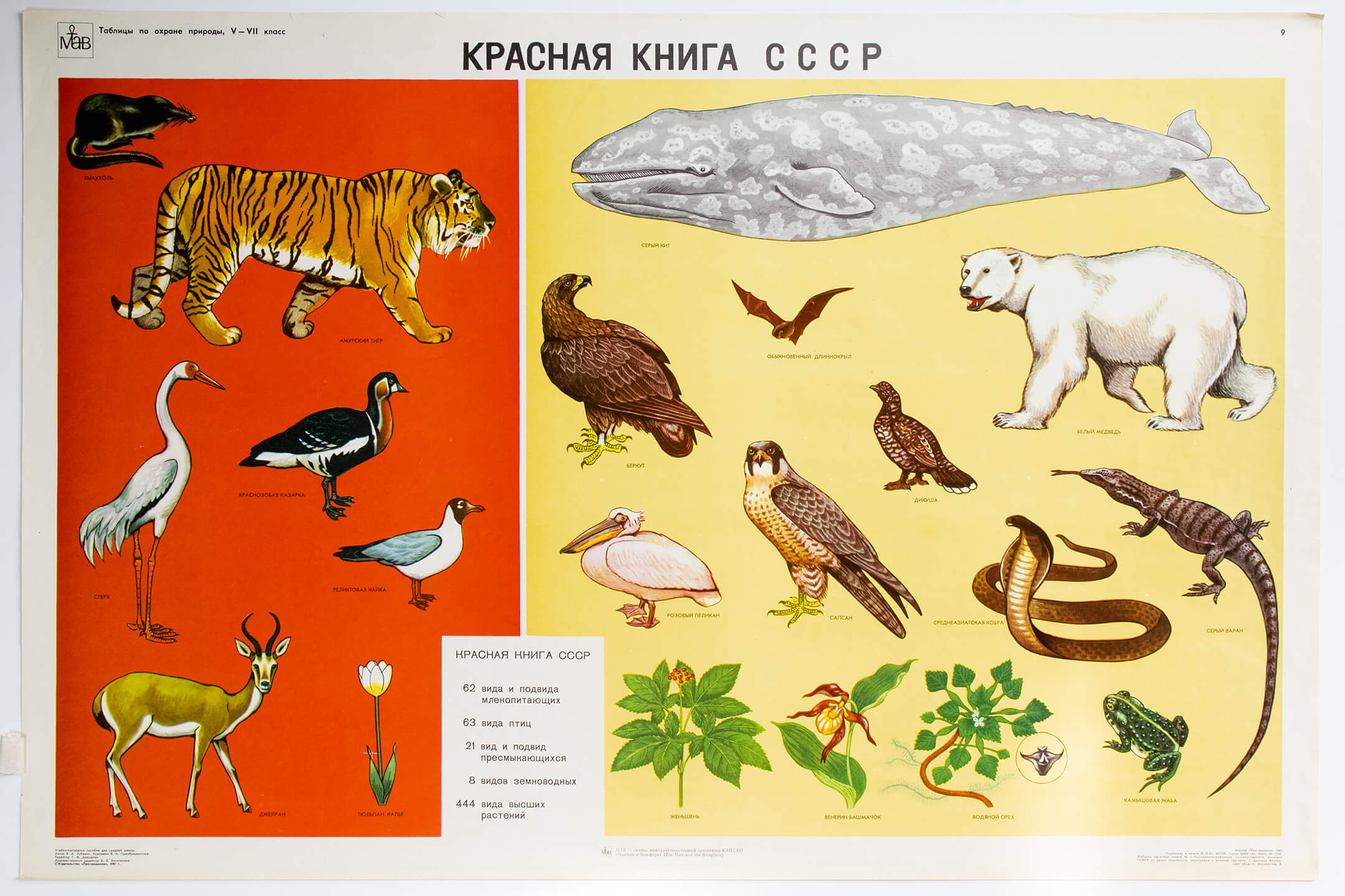 В. И. Преображенская. Красная Книга СССР